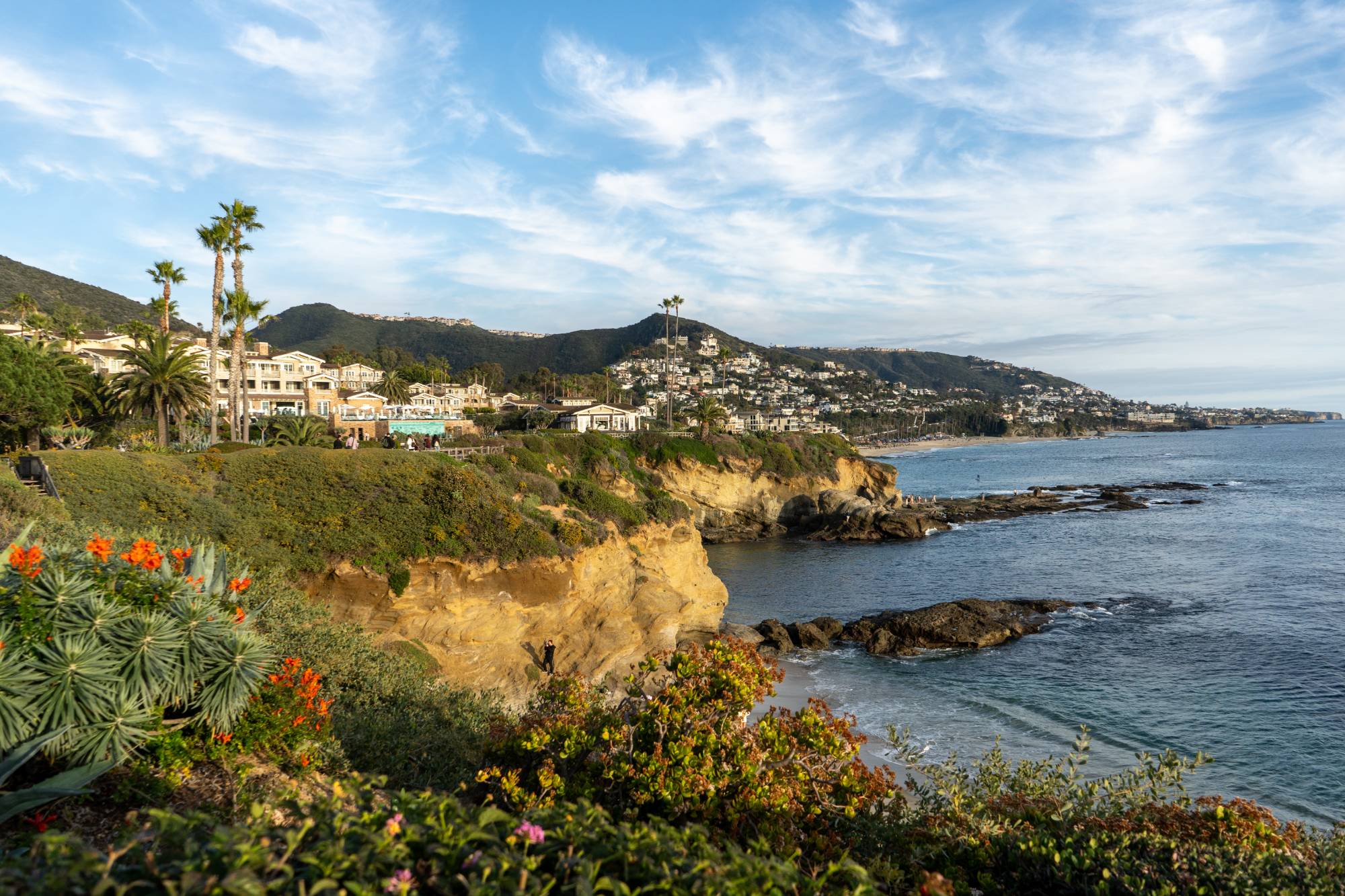 Laguna Beach coastline with cliffs, palms, and hillside homes